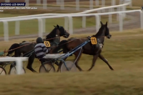 KAPITANO DE LOU (Brillantissime-Tania de Lou°...