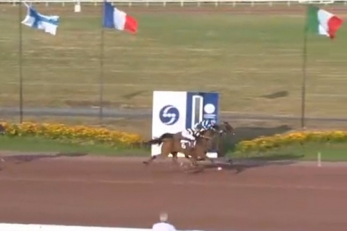 LUCIOLA DE LOU (Real de Lou -Vikivera de Lou)..