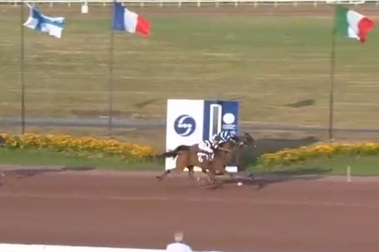 LUCIOLA DE LOU (Real de Lou -Vikivera de Lou)..