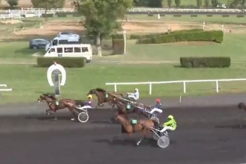 .KING GEORGES ELLIS ( Bold eagle-Volvoreta de Lou)..