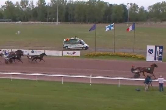 JAMAICA DE LOU (Real de lou-Unora de Lou)...