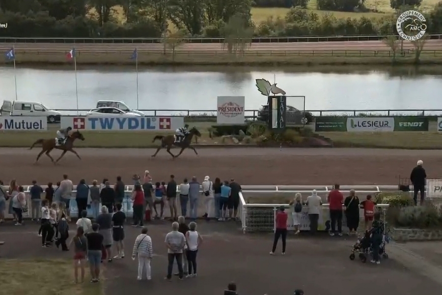 LUCIOLA DE LOU ( Real de Lou-Vikivera de Lou)