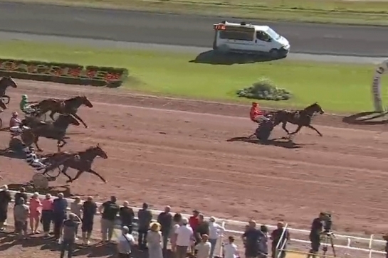 JUNON DE LOU (Real de lou-Saba du vivier)...