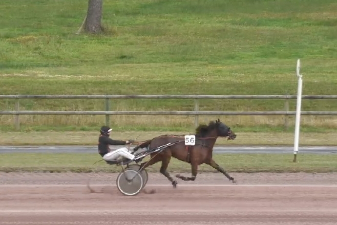 MIRELLA DE LOU (Eridan-Unora de Lou)...