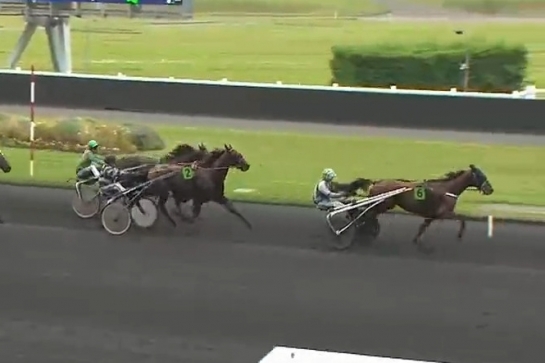 KOZIELLO DE LOU (Real de Lou- Delmonica de Lou)...