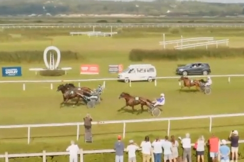 KILLIAN DE LOU (Real de Lou-Unora de Lou)...