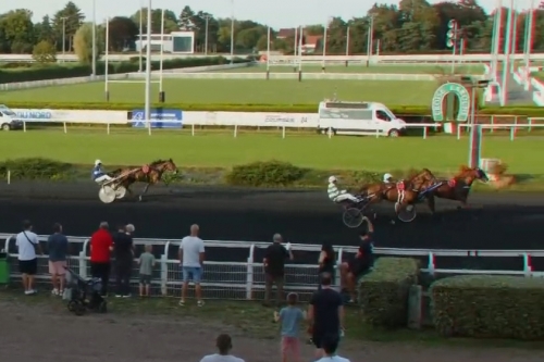 LUCKY DE LOU ( Espoir Prestance-Delmonica de Lou)