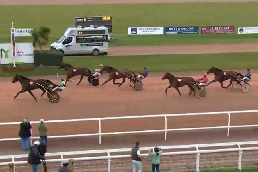 KATARINA DE LOU (Goetmals wood-Selecao de Lou)