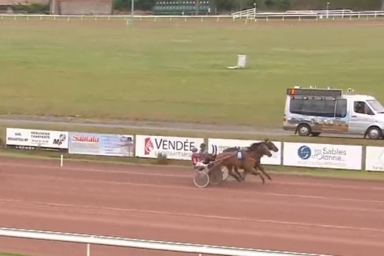 JAMAICA DE LOU (Real de lou-Unora de Lou)...