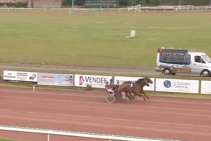 JAMAICA DE LOU (Real de lou-Unora de Lou)...