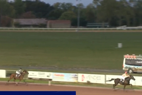 LUCIOLA DE LOU (Real de Lou-Vikivera de Lou)..