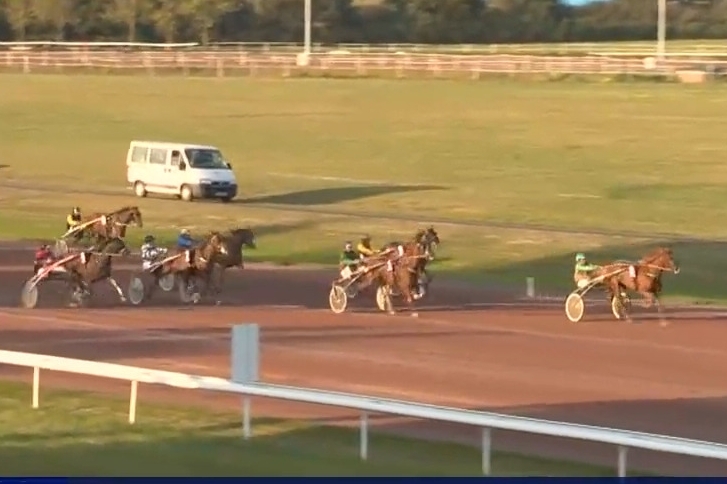 KARIOLA DE LOU (Sam bourbon- Vikivera de Lou)...