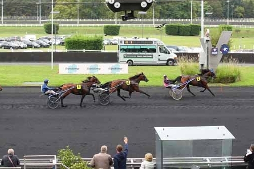 JUNON DE LOU(Real de Lou-Saba du vivier)