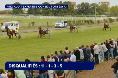 KILLIAN DE LOU (Real de Lou-Unora de Lou)...