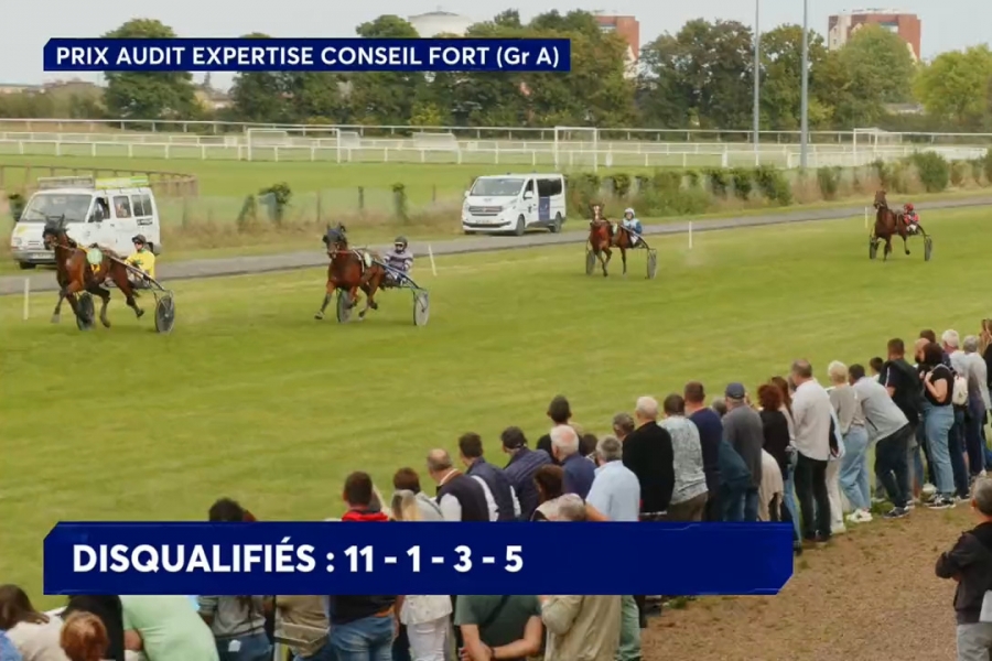 KILLIAN DE LOU (Real de Lou-Unora de Lou)...