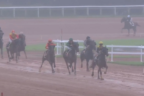 FASCINOSO DE LOU ( Prodigious-Riviera de Lou)...