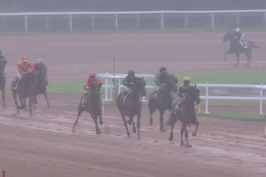 FASCINOSO DE LOU ( Prodigious-Riviera de Lou)...