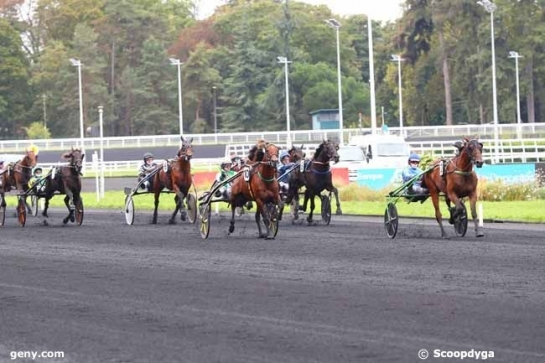 KOZIELLO DE LOU (Real de Lou- Delmonica de Lou)...