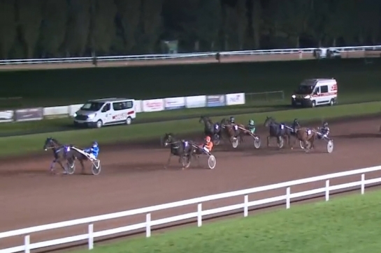 KILLIAN DE LOU (Real de Lou-Unora de Lou)...