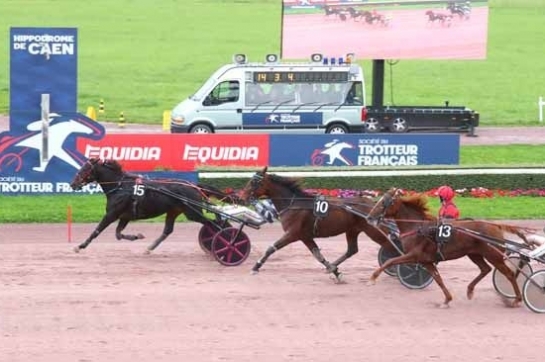 JAMAICA DE LOU (Real de lou-Unora de Lou)...