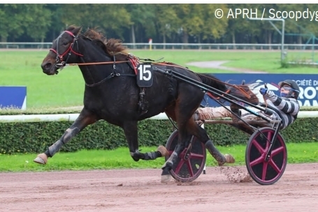 JAMAICA DE LOU (Real de lou-Unora de Lou)...