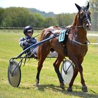 FILHIO DE LOU (Prodigious-Lola de Lou)