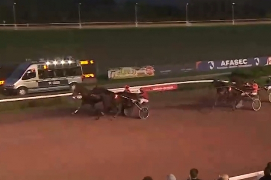 MAXIMILIANO DE LOU (Ecu pierji-Daytona Sacha par Real de Lou))