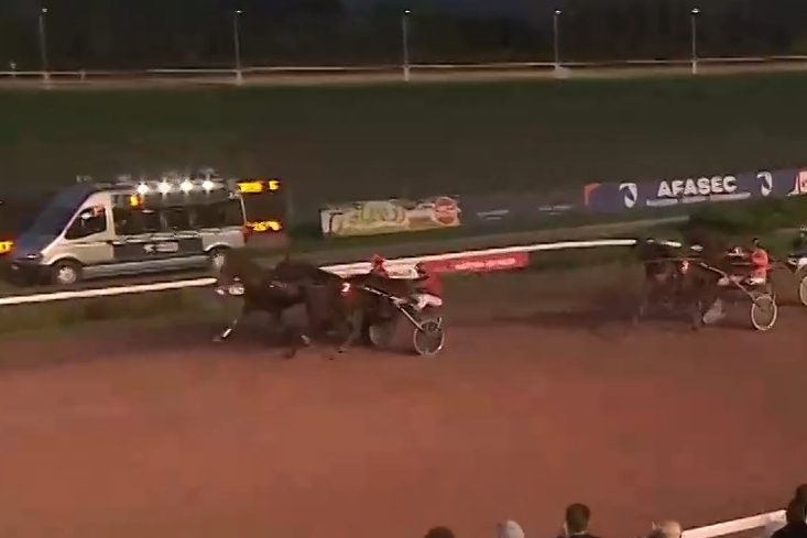 MAXIMILIANO DE LOU (Ecu pierji-Daytona Sacha par Real de Lou))