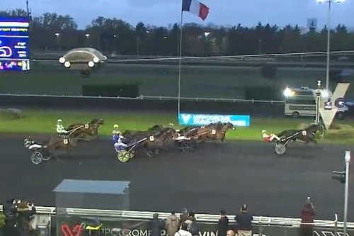 JUNON DE LOU (Real de lou-Saba du vivier)...