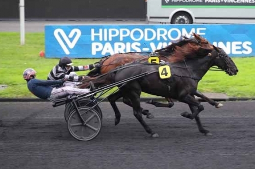 KOURGA DE LOU (Face time Bourbon- Aosta de Lou)...