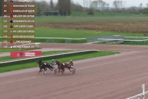 MONUMENTAL DE LOU (Very nice marceaux-Ginga de Lou) ...