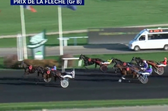 KYRIA DE LOU (Real de Lou-Saba du vivier)...