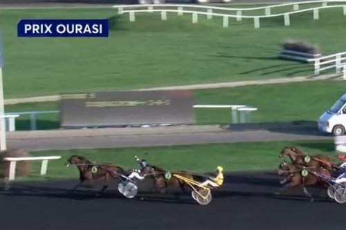 JUST GIGOLO DE LOU ( Un amour d'haufor-Sierra de Lou)...