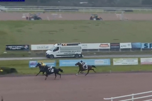 LUCIOLA DE LOU (Real de lou-Vikivera de Lou)...