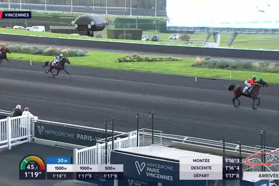 LA STORIA DE LOU (Excellent-Bellissima de Lou)