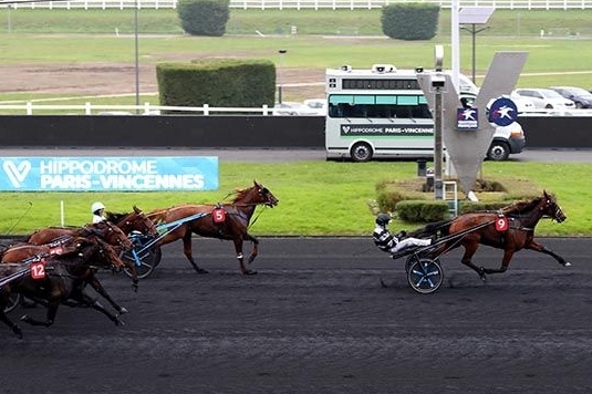 JUNON DE LOU (Real de lou-Saba du vivier)...