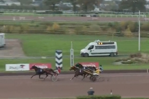 KARIOLA DE LOU (Sam bourbon-Vikivera de Lou)...