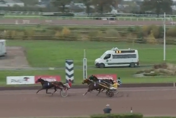 KARIOLA DE LOU (Sam bourbon-Vikivera de Lou)...