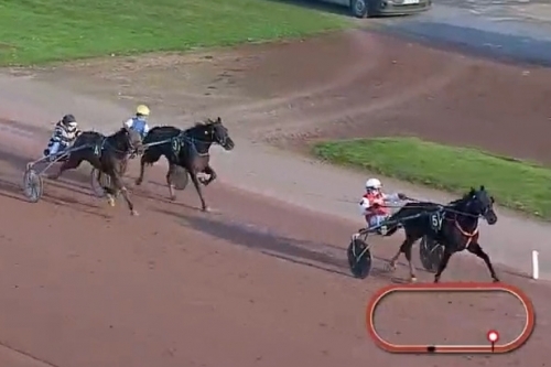 KAPITANO DE LOU (Brillantissime-Tania de Lou)...