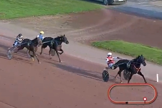 KAPITANO DE LOU (Brillantissime-Tania de Lou)...