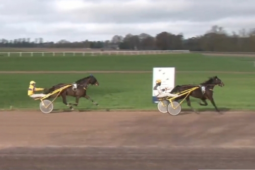 MONTEROSSO DE LOU (Booster winner-Dolce vita de lou)...