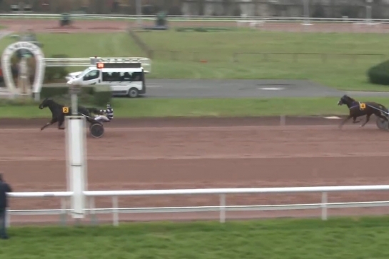 JOKO DE LOU (Real de Lou-Carla de Lou) ...