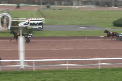 JOKO DE LOU (Real de Lou-Carla de Lou)...