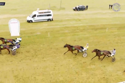 KYRIA DE LOU (Real de Lou-Saba du vivier)...