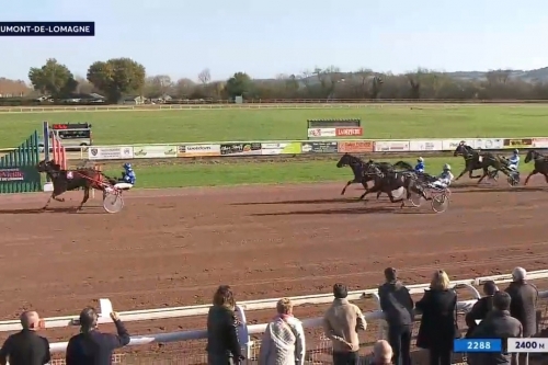 LOMBARDO DE LOU (Fabulous wood-Tanga de lou)..