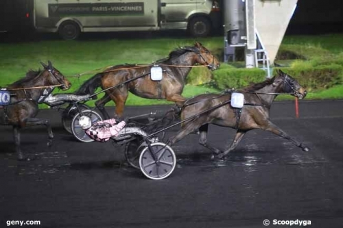 KOURGA DE LOU (Face time bourbon-Aosta de lou)...