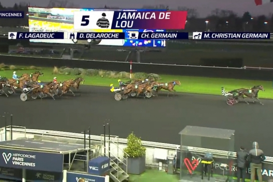 JAMAICA DE LOU (Real de lou-Unora de Lou par Goetmals wood)