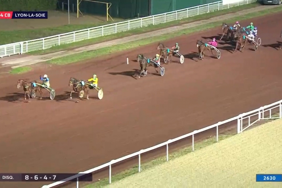 LUNDU DE LOU (Real de Lou-Ukraine du vivier par Nice Love)...