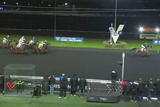 ILLICO DE LOU (Real de Lou-Buenavista de Lou par Goetmals wood)