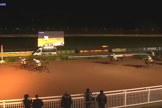 ILLICO DE LOU (Real de Lou-Buenavista de Lou par Goetmals wood)